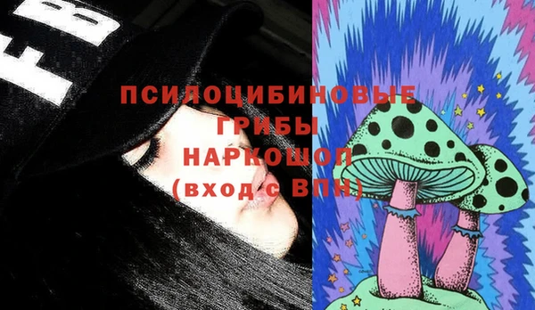 прущие грибы Алексин