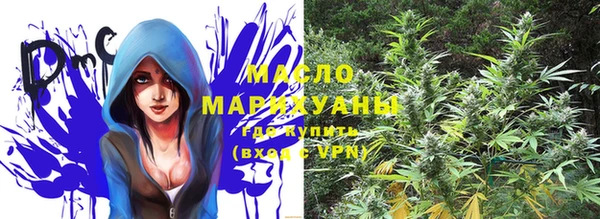 винт Абаза
