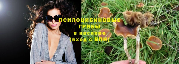 героин Алзамай