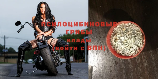 винт Абаза