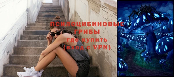 прущие грибы Алексин
