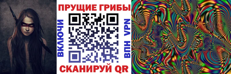 OMG ссылки Курчатов Псилоцибиновые грибы Magic Shrooms